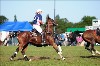 UKPA NC SAT_2148